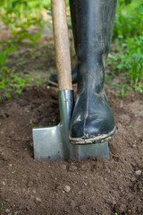 Foot in rubber boot on the metal spade