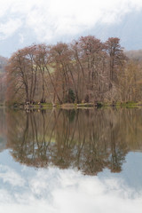 Fototapeta na wymiar reflet d'arbres dans l'eau du lac de saint Hélène