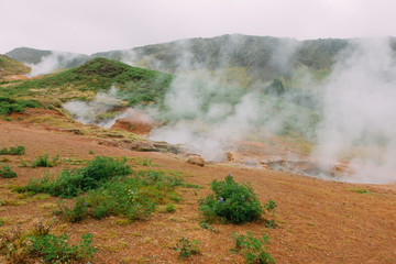 Hveragerði geothermal area on Iceland