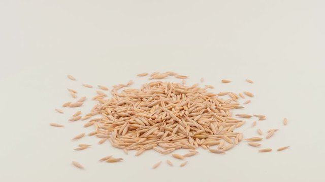 Grain oat closeup on a white background.