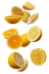Fototapeta premium Falling fresh mixed citruses. Slices of the lemon and orange the air. Flying fruits concept