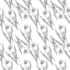 tulips pattern