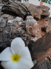 Sleeping Buddha