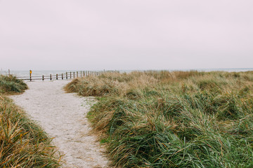 beautiful landmark darß on the baltic sea in germany