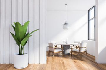 Stylish white dining room interior with plant