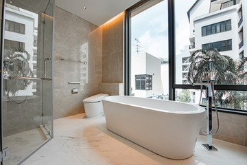 Luxury bathroom toilet bowl and bathtub
