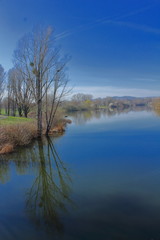 Baum Spiegelung im See