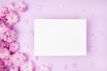 Blank paper and cute pink flowers on pink background