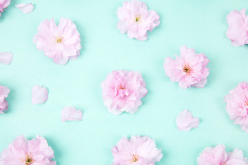 Flower floral pattern with sakura flowers petals and on turquoise background