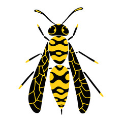 Hand drawn wasp isolated on a white background. Vector illustration.