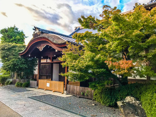 Fototapeta premium 寺 道