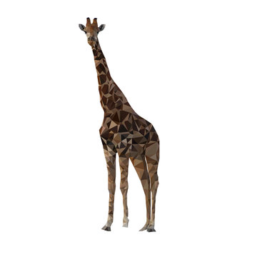 Giraffe. Low Poly.