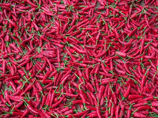 Fototapeta premium red hot chili peppers in China
