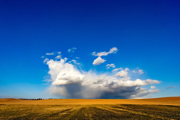 A powerful thunderstorm front is approaching the city. Rain cloud on the background of the field. A...