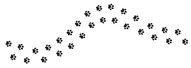 Cat paw. Pet foot trail print. Step shape. Vector illustration
