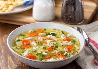 Bowl of Chicken Noodle Soup