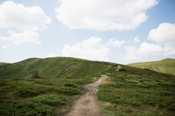 Naklejka premium landscape with green mountains and forest and blue sky