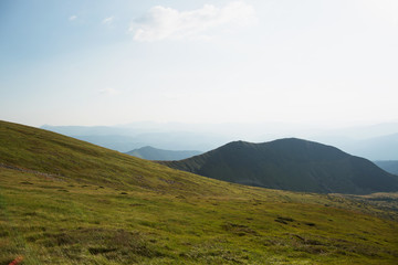 The beautiful landscape of the green European mountains - the Carpathians
