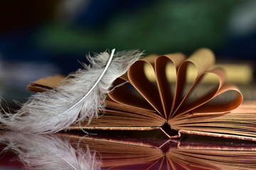 feather and book