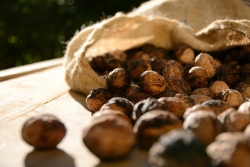 Walnuts out of a canvas bag on a rustic wooden table. Landscape format.