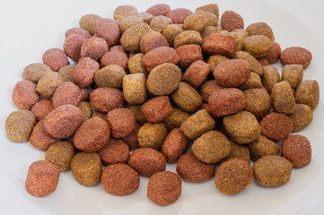 dry pet food close up