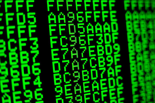 Computer code on the screen