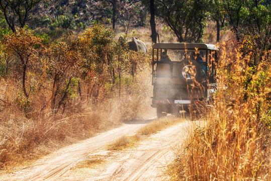 Visitors in safari vehicle