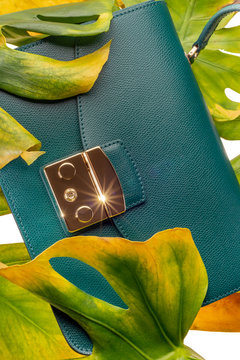 Green leather textured handbag with gold accessories on white lightbox with monstra plant leaves