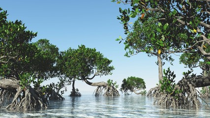 Red mangroves on Florida coast 3d rendering - 345305627