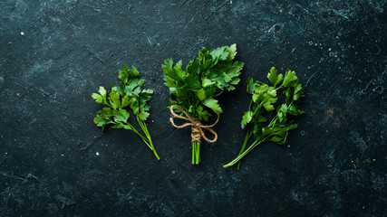 Fresh green parsley on black stone background. Top view. Free space for your text.