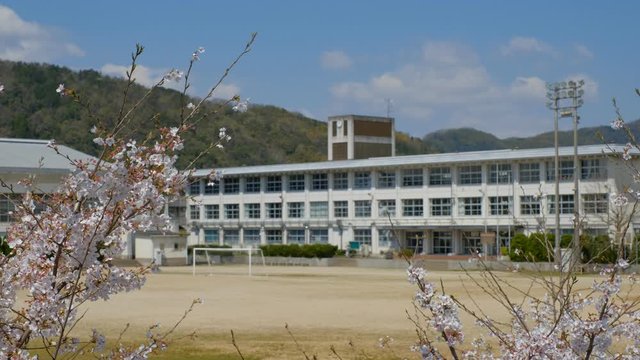 写真素材：学校と桜の花　春イメージ　入学式　新学期