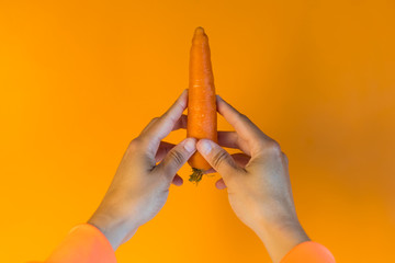 hands of a girl holds a carrot