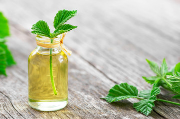 Glass bottle of nettle essential oil with fresh nettle twigs and leaves on wooden rustic background, herbal medicinal oil concept ( urtica )
