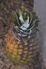 Piña