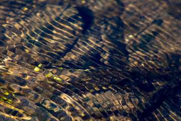 Klares Wasser einer sprudelnden Quelle mit sauberem Wasser und klarer Bach mit seidigen Wellen für...