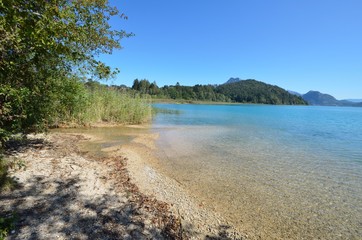 Einsames Ufer am See