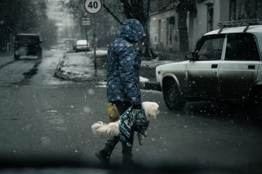 Saratov, Russia - 03/14/2020: Street Photo, City Life, A Woman Carrying A Dirty Dog In Her Hands As A Bag Across The Road In Bad Cloudy Weather With Snow And Puddles In An Empty City Down The Street