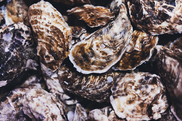 closed oysters, fresh oyster shell, mollusks in seafood market, aphrodisiac sea restaurant,...