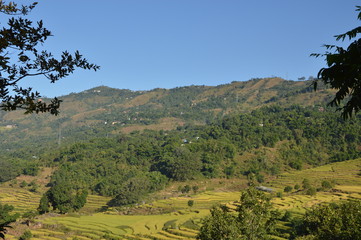 Fototapeta na wymiar Hilly region of Nepal with greenery