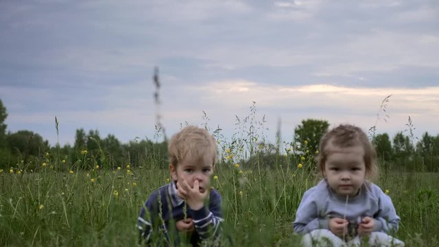 Cute Little Boy and Girl are Sitting in the Grass. Children Play together in the Field