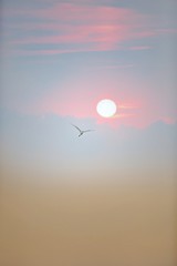 sunset over the sea