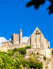 Fototapeta premium Beynac et Cazenac in Dordogne, France