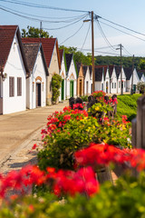 wine cellars in Villanykovesd, Villany, Hungary