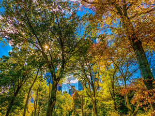 New York City Central Park, Manhatten, NYC