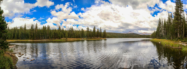 Landscape with lake and forest at Yosemite National Park, USA, Panorama