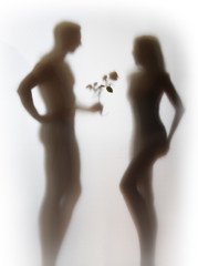 Beautiful slim woman receives love symbol, a flower by a man. Male and female human body silhouette...