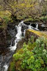 Cascada en el recorrido de la West Highland Way, cerca de Inversnaid en el Parque Nacional de Loch Lomond y los Trossachs.