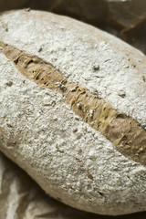 Rustic Bread and crumbs on paper