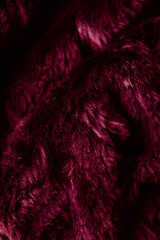 Structure of fur background texture red