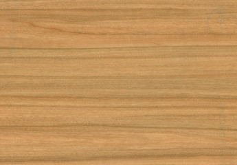 wooden texture background